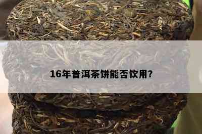 16年普洱茶饼能否饮用？