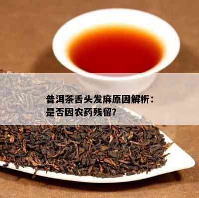 普洱茶舌头发麻原因解析：是否因农残留？