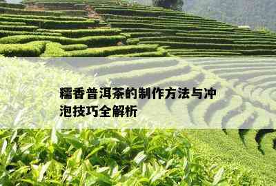 糯香普洱茶的制作方法与冲泡技巧全解析