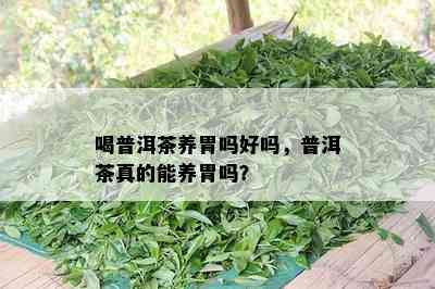 喝普洱茶养胃吗好吗，普洱茶真的能养胃吗？