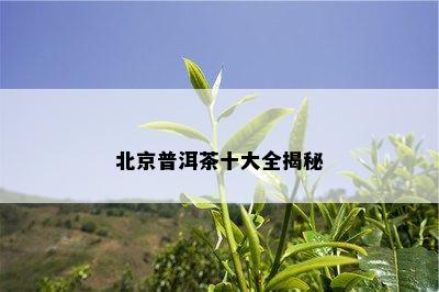 北京普洱茶十大全揭秘