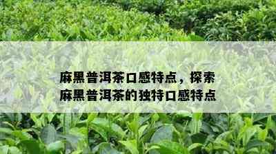 麻黑普洱茶口感特点，探索麻黑普洱茶的特别口感特点