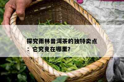 探究雨林普洱茶的特别卖点：它究竟在哪里？