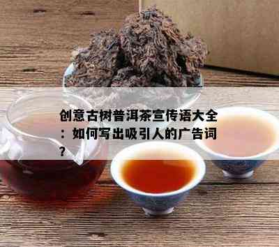 创意古树普洱茶宣传语大全：怎样写出吸引人的广告词？