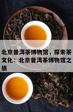 北京普洱茶博物馆，探索茶文化：北京普洱茶博物馆之旅