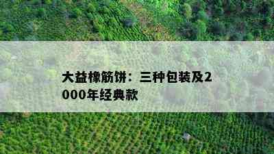 大益橡筋饼：三种包装及2000年经典款