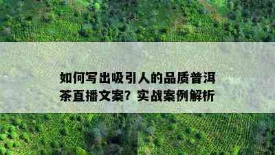 怎样写出吸引人的品质普洱茶直播文案？实战案例解析