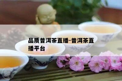 品质普洱茶直播-普洱茶直播平台