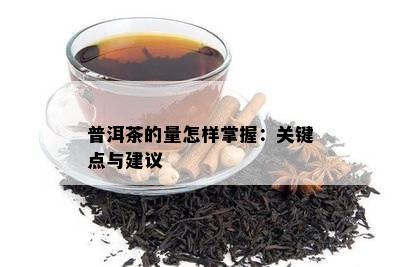 普洱茶的量怎样掌握：关键点与建议