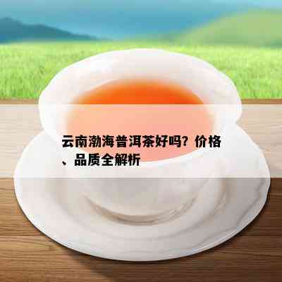 云南渤海普洱茶好吗？价格、品质全解析