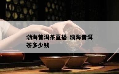 渤海普洱茶直播-渤海普洱茶多少钱