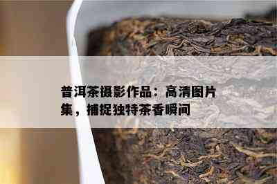 普洱茶摄影作品：高清图片集，捕捉特别茶香瞬间