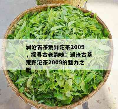 澜沧古茶荒野沱茶2009，探寻古老韵味：澜沧古茶荒野沱茶2009的魅力之旅