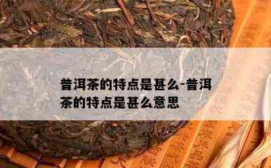 普洱茶的特点是甚么-普洱茶的特点是甚么意思