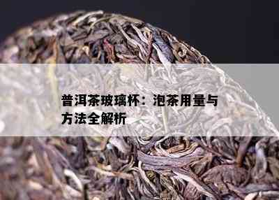 普洱茶玻璃杯：泡茶用量与方法全解析