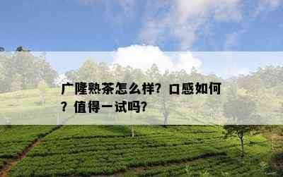 广隆熟茶怎么样？口感怎样？值得一试吗？