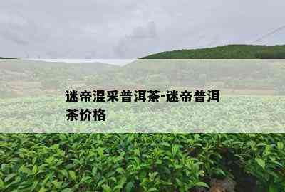 迷帝混采普洱茶-迷帝普洱茶价格