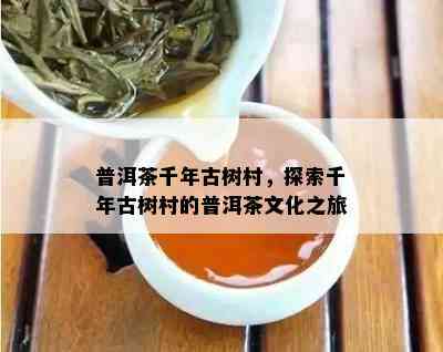 普洱茶千年古树村，探索千年古树村的普洱茶文化之旅