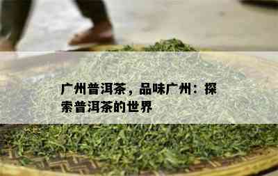 广州普洱茶，品味广州：探索普洱茶的世界