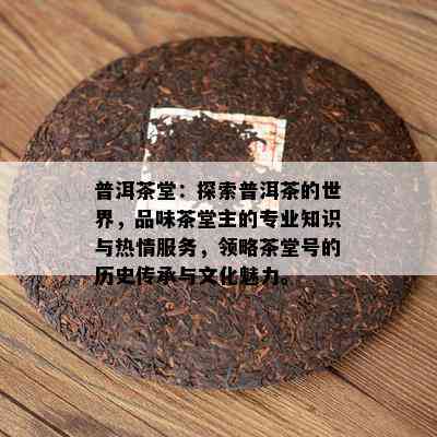 普洱茶堂：探索普洱茶的世界，品味茶堂主的专业知识与热情服务，领略茶堂号的历史传承与文化魅力。