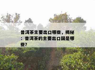 普洱茶主要出口哪些，揭秘：普洱茶的主要出口国是哪些？