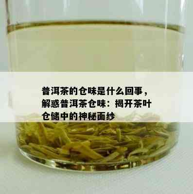 普洱茶的仓味是什么回事，解惑普洱茶仓味：揭开茶叶仓储中的神秘面纱