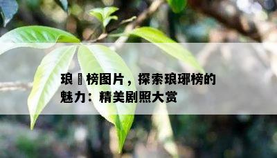 琅玡榜图片，探索琅琊榜的魅力：精美剧照大赏