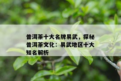 普洱茶十大名牌易武，探秘普洱茶文化：易武地区十大知名解析