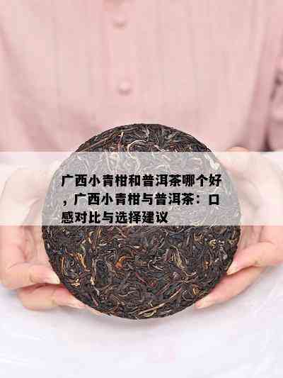 广西小青柑和普洱茶哪个好，广西小青柑与普洱茶：口感对比与选择建议