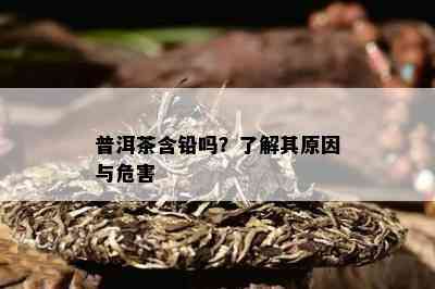 普洱茶含铅吗？了解其原因与危害