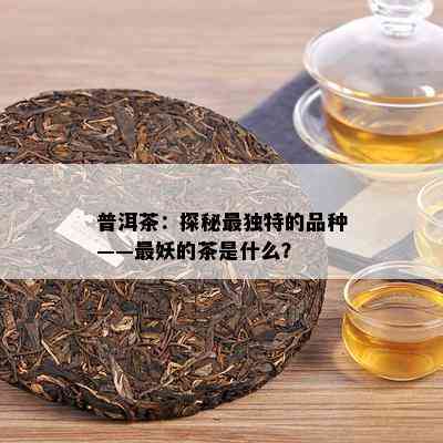 普洱茶：探秘最特别的品种——最妖的茶是什么？