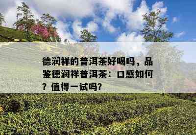 德润祥的普洱茶好喝吗，品鉴德润祥普洱茶：口感怎样？值得一试吗？