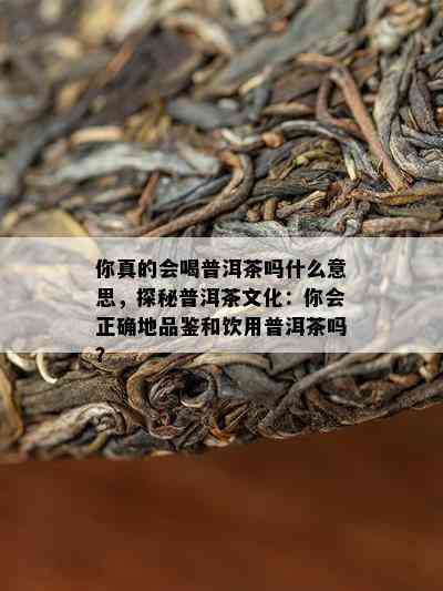 你真的会喝普洱茶吗什么意思，探秘普洱茶文化：你会正确地品鉴和饮用普洱茶吗？