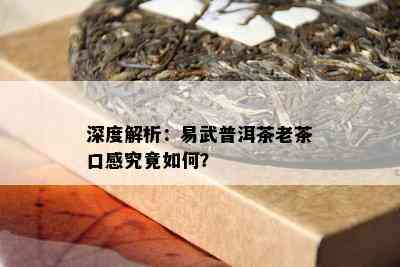 深度解析：易武普洱茶老茶口感究竟怎样？