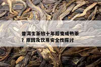 普洱生茶放十年后变成熟茶？起因及饮用安全性探讨