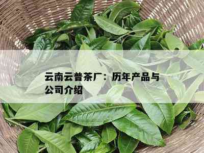 云南云普茶厂：历年产品与公司介绍