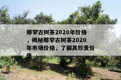 那罕古树茶2020年价格，揭秘那罕古树茶2020年市场价格，熟悉其珍贵价值