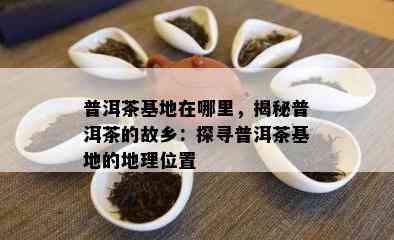 普洱茶基地在哪里，揭秘普洱茶的故乡：探寻普洱茶基地的地理位置