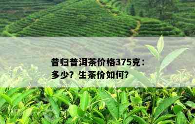 昔归普洱茶价格375克：多少？生茶价怎样？