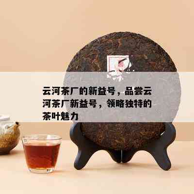 云河茶厂的新益号，品尝云河茶厂新益号，领略特别的茶叶魅力