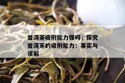 普洱茶吸附能力强吗，探究普洱茶的吸附能力：事实与误解