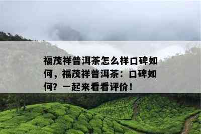 福茂祥普洱茶怎么样口碑怎样，福茂祥普洱茶：口碑怎样？一起来看看评价！