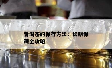 普洱茶的保存方法：长期保藏全攻略