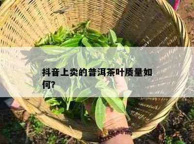 抖音上卖的普洱茶叶质量如何？