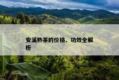 安溪熟茶的价格、功效全解析