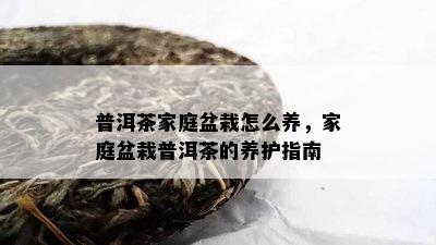 普洱茶家庭盆栽怎么养，家庭盆栽普洱茶的养护指南