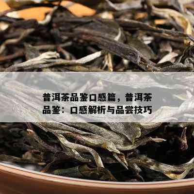 普洱茶品鉴口感篇，普洱茶品鉴：口感解析与品尝技巧