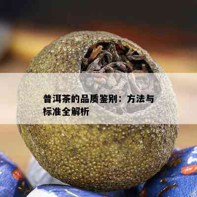 普洱茶的品质鉴别：方法与标准全解析