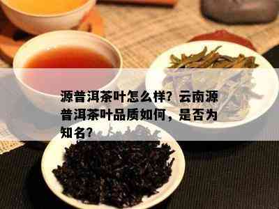 源普洱茶叶怎么样？云南源普洱茶叶品质如何，是否为知名？