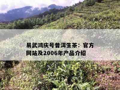 易武鸿庆号普洱生茶：官方网站及2006年产品介绍